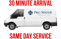 30 Minute Arrival - Same Day Service