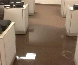 Home or Business Flood Clean Up 