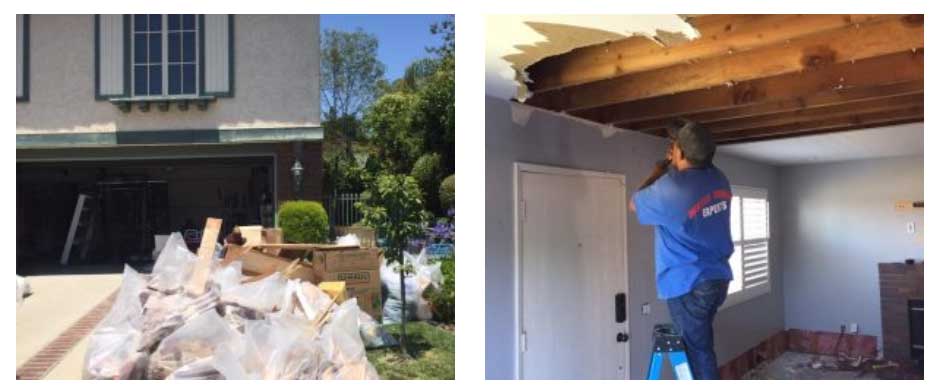 Clean Up and Demolition Services