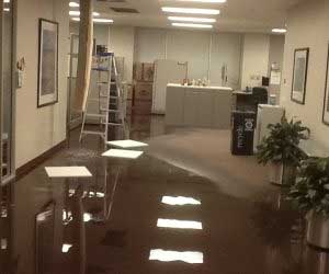 Common Water Damage Emergencies in Norwalk, CA