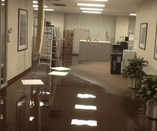Commercial Flood Clean Up-Pro Water Damage
