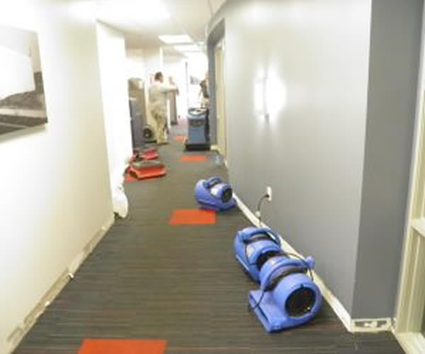 Office Flood Clean Up Beverly Hills - Pro Water Damage