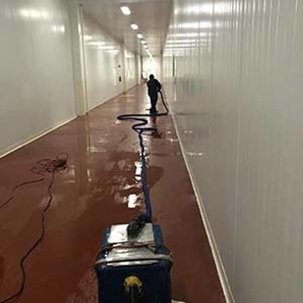 Eco Friendly Commercial Flood Clean Up