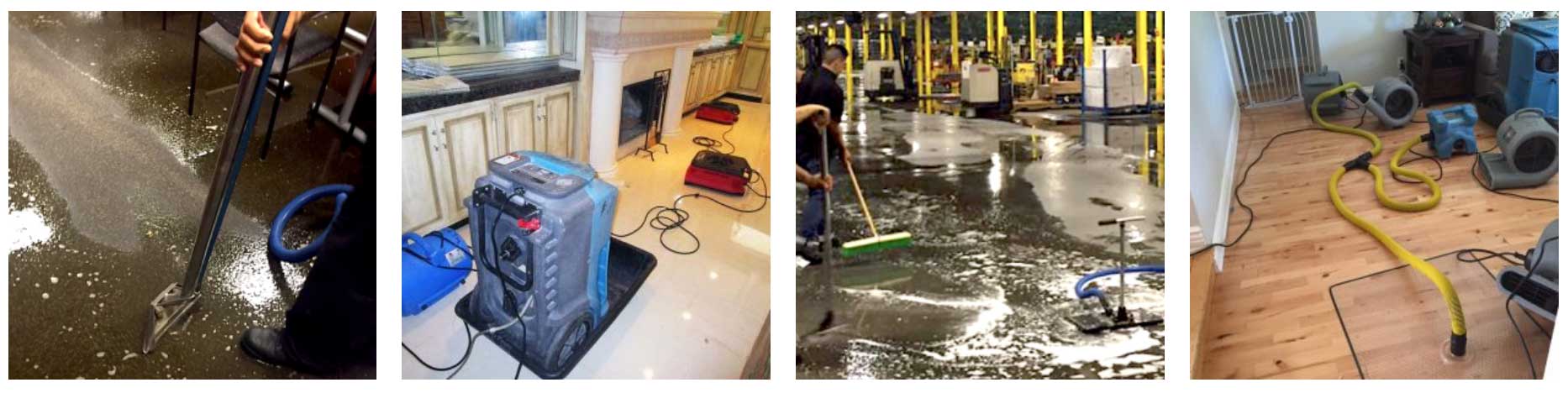 Water Damage Clean Up Services 