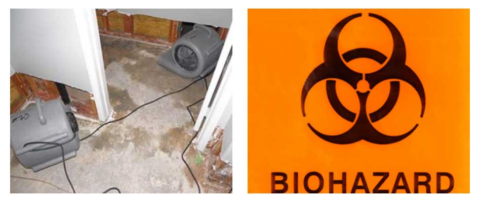 Biohazard Safety 