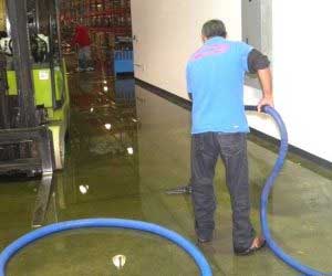 Water Removal Services and More